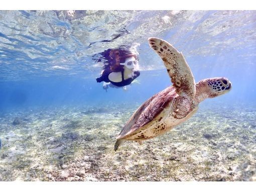 【沖縄・宮古島】遭遇率100％継続！ウミガメシュノーケリングツアー☆真っ白な砂浜の広がるビーチ！当日予約OK☆未経験歓迎！お子様から大人までの画像