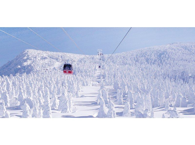 山形・蔵王・銀山温泉】2名催行！山形蔵王ロープウェイ＆大正ロマン漂う「銀山温泉」日帰り観光ツアー | アクティビティジャパン