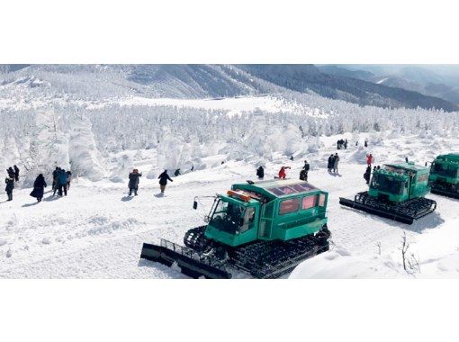 [Miyagi, Zao] For 2 people! A day trip to see the frost-covered trees of Miyagi Zao and the world-famous fluffy spot "Miyagi Zao Fox Village"の画像