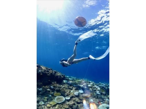 【宮古島】スキンダイビングツアー！未経験者大歓迎◎当日予約OK！ 一眼カメラ撮影◎ビーチエントリー◎宮古島最安値！の画像