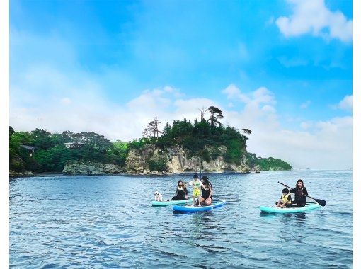 【絶景松島・馬の背】徒歩10秒で憧れのSUP体験！駅徒歩7分！無料温水シャワー・更衣室完備！女性、カップル、ファミリー、未経験者大歓迎！の画像