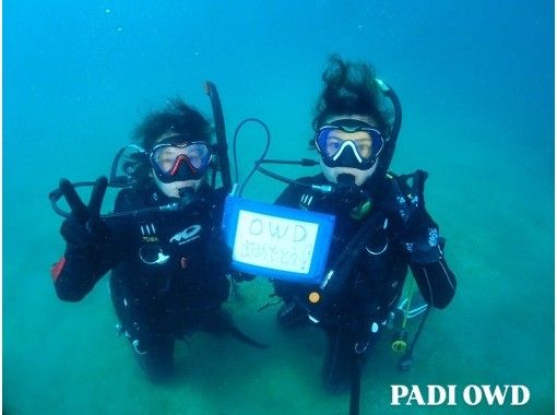 PADI【福井／和歌山】大阪から無料送迎　OWDライセンス取得を目指そう!  初心者・女性・シルバー歓迎 の画像