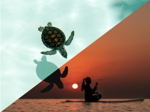 [Okinawa, Miyakojima] Sunset Clear SUP or Clear Kayak Tour ☆ Searching for Sea Turtles ☆ Full Refund + α Guarantee ☆