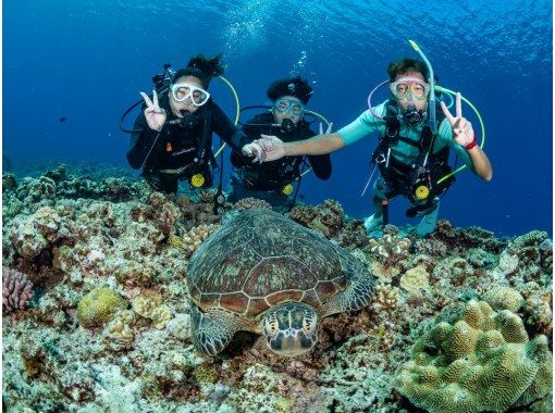 【沖縄・那覇発】ケラマ諸島ファンダイビング！体力負担の少ないダイビングスタイルで初心者やお一人様向け！の画像