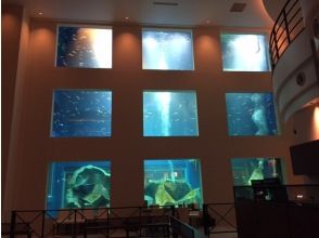 【千葉・千葉市】シュノーケリング（約60分）関東初！水族館のような大型水槽でアクアリウムダイビング