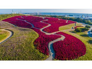 [Ibaraki Prefecture, Hitachinaka City] A one-day helicopter cruise tour to see the spectacular kochia