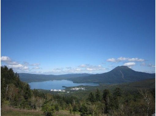 [北海道/知床] 15歲起就參加“橡樹山登山路線”（1371m），在那裡您可以充分享受橡樹的自然風光！の画像