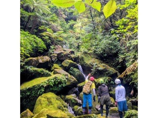 【東京・八丈島】５月～１０月　初級　沢登り　大滝・唐滝川コースの画像