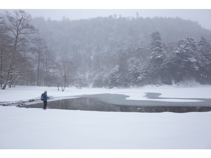 [Tochigi, Nikko, Nikko Yumoto Onsen] Snowshoe trekking (intermediate)の紹介画像