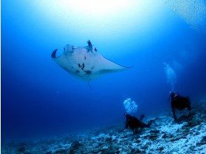 ＰＡＤＩ　オープンウォーターダイバー講習【沖縄・那覇】初めてのダイビングライセンス講習　ゴールドカード発行