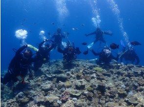 【PADI　オープンウォーターダイバー】ライセンス取得コース♪器材レンタル込み！