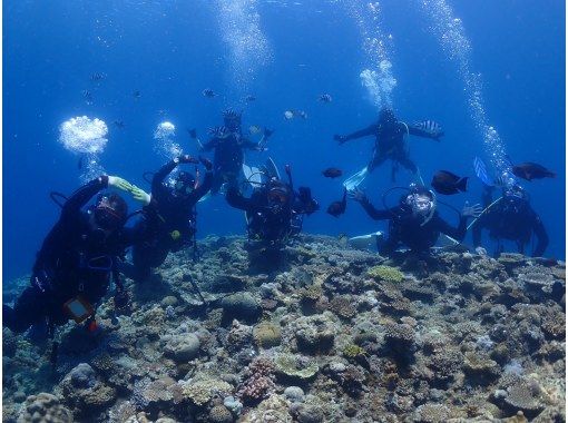 【PADI　オープンウォーターダイバー】ライセンス取得コース♪器材レンタル込み！の画像