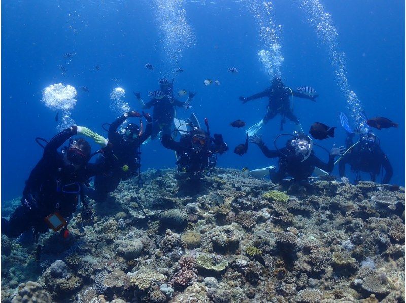 【PADI　オープンウォーターダイバー】ライセンス取得コース♪器材レンタル込み！の紹介画像