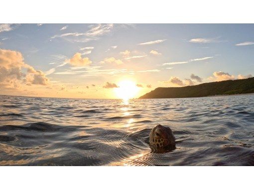 [Okinawa, Miyakojima, Snorkeling] Private tour for one group! A mystical experience of swimming with wild sea turtles while watching the sunrise!の画像