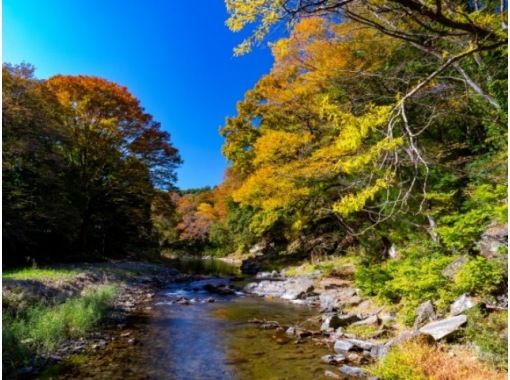 京都嵐山を思わせる「武蔵嵐山渓谷」の紅葉ともみじの名刹「平林寺」を訪ねるバスツアー～割烹二葉･名物忠七めしのご昼食～【029029‐899】の画像