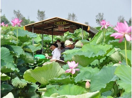 ハスの中を進む花ハスクルーズと関東三大師「佐野厄除け大師」＆まるで水彩画のような「出流原弁天池」見学バスツアー【029029-1258】の画像
