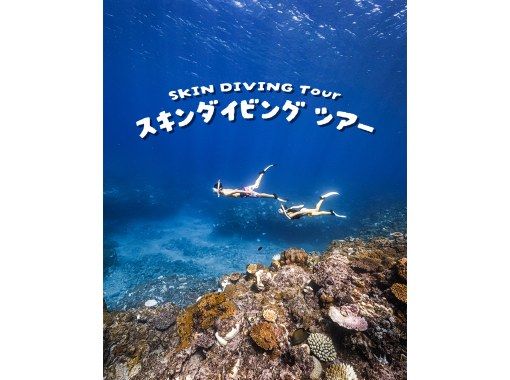 【宮古島】1組貸切制！≪スキンダイビング / 2時間≫ おひとり様・初心者大歓迎 !  ☆写真データ無料 の画像