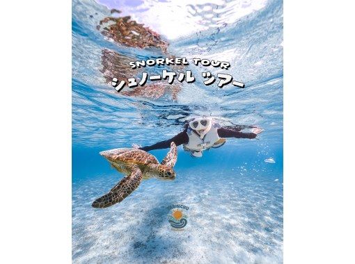 【宮古島】1組貸切制！≪ビーチシュノーケル / 2時間≫ おひとり様OK !  ☆写真データ無料 の画像