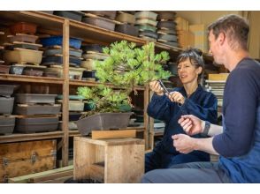 [Ibaraki Training Trip] A bonsai training trip where you can learn in depth at the fusion of nature and art "Tree House Bonsai" | Departing from Tokyo! 2 nights 3 days special tour