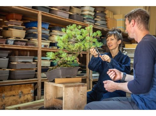 [Ibaraki Training Trip] A bonsai training trip where you can learn in depth at the fusion of nature and art "Tree House Bonsai" | Departing from Tokyo! 2 nights 3 days special tourの画像