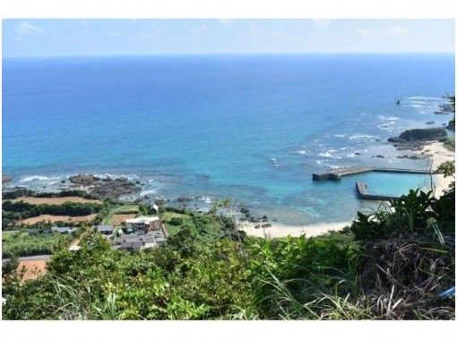 【鹿児島・奄美】お1人様大歓迎‼奄美の大自然と触れ合える貸切半日フリープラン！送迎付き＆1組限定（2025/1/1〜）の画像