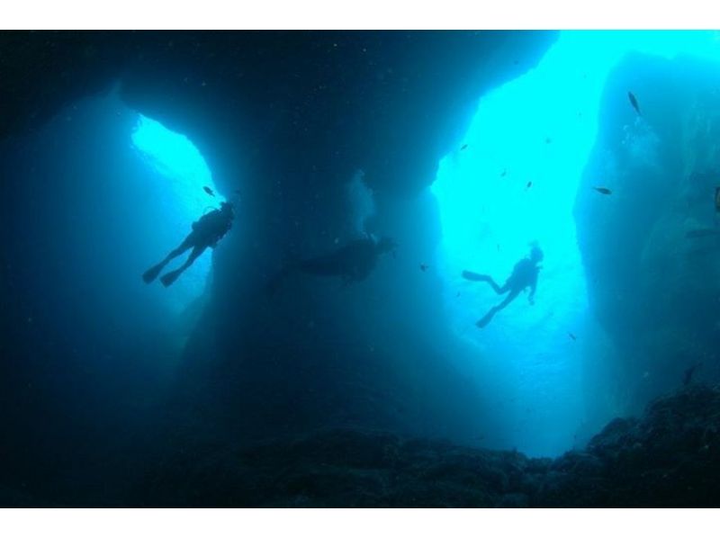 【東京・神津島でダイビング】3ボートファンダイブで1日中神津島の海を満喫