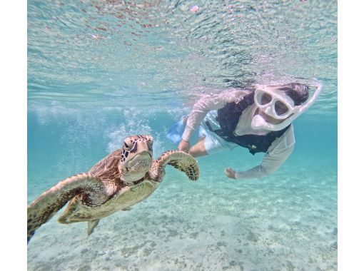 [Okinawa, Miyakojima, Snorkeling] Private tour for one group! A mystical experience of swimming with wild sea turtles at sunset!の画像