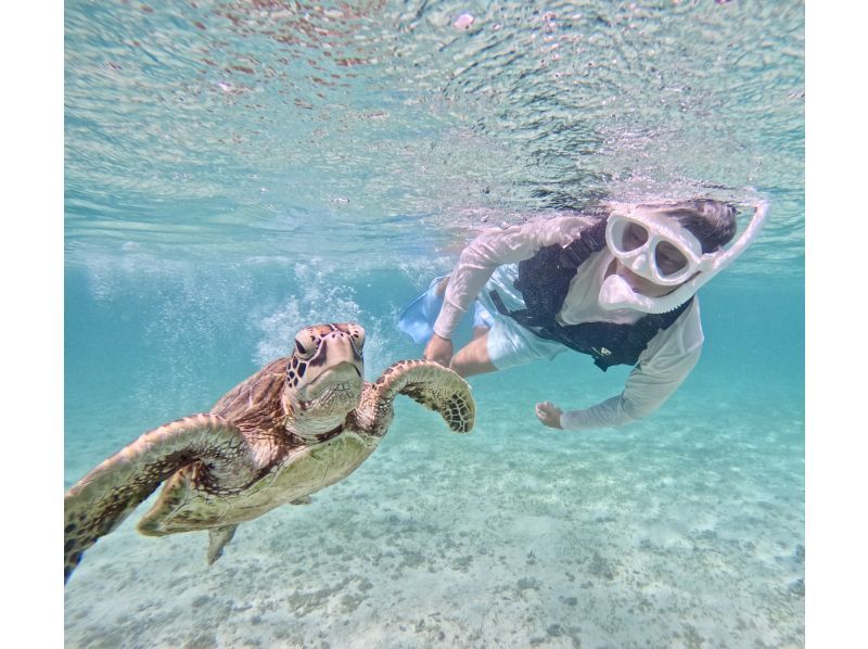 【沖縄・宮古島・シュノーケリング】1組貸切！サンセットに野生のウミガメと泳ぐ神秘的な体験！の紹介画像