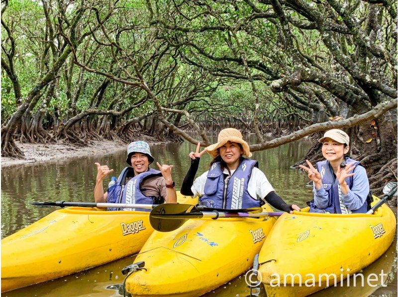 【鹿児島・奄美大島】奄美認定ガイド平井さんと一緒に奄美の2大観光地をめぐる少人数ツアー 予約＜金作原原生林・マングローブカヌー＞