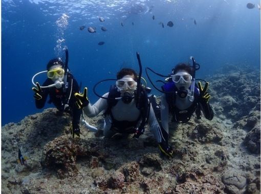 【沖縄北部・水納島、】半日プラン２ダイブ！ホテル空港無料送迎完全スタッフ1組貸切！体験ダイビング水中写真&動画無料プレゼントの画像