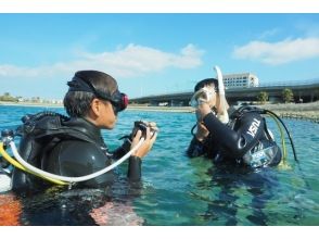 Bonz.Okinawa Diving Center