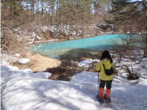 【福島県・裏磐梯高原】「ちょこシュー」で五色沼映えスポットをお手軽ツアー