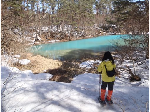 【福島県・裏磐梯高原】「ちょこシュー」で五色沼映えスポットをお手軽ツアーの画像