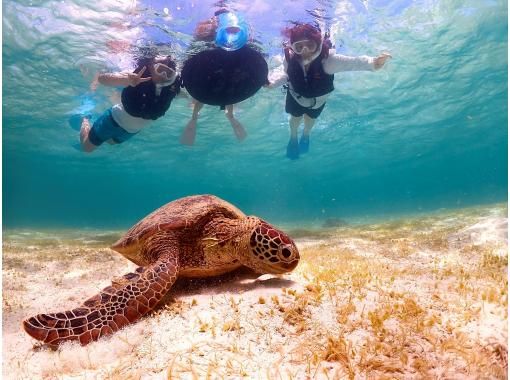 【宮古島】★オープン記念の大セール中★　ウミガメ遭遇率100％！全データプレゼントで最高な思い出間違いなし！満足できなかったら全額返金保証！の画像