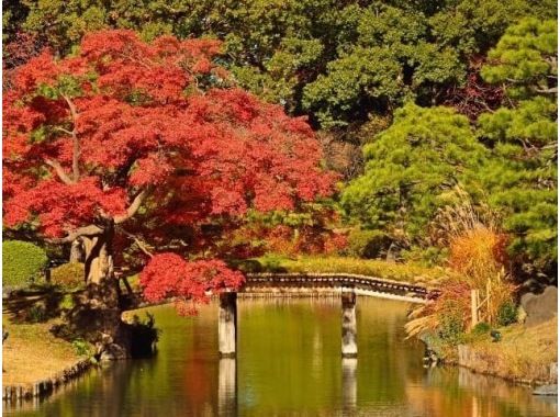 【東京】ゆったり楽しむ江戸三大庭園の紅葉&東京雲海に包まれるホテル椿山荘東京庭園と石焼料理付バスツアー【029029-1463】の画像