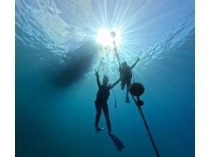 【沖縄本島北部・水納島・瀬底島・体験ダイビング】混雑皆無の極上ポイント！初めての方大歓迎！１グループにベテランガイド貸切