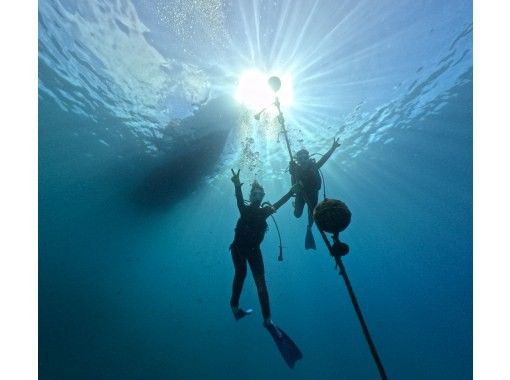 SALE!手ぶらOK【沖縄本島北部・水納島・瀬底島・体験ダイビング】混雑皆無の極上ポイント！初めての方大歓迎！１グループにベテランガイド貸切の画像