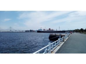 [Kanagawa/Yokohama] Customize Your Tour! 4 hours Tour of Must-See Spot