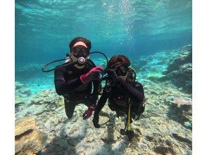 [Northern Okinawa, Sesoko Island, Minna Island, Gorilla Chop] Beginners welcome! Experience diving by boat! Pick-up and drop-off available!