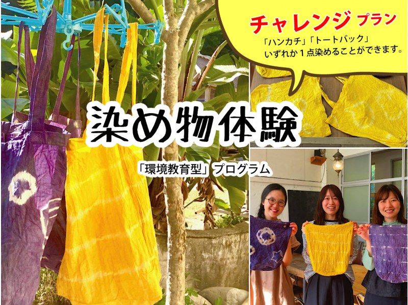 【北海道・SUP体験】透明度の高い支笏湖の湖面をクルージング！SUP体験（半日コース）の画像