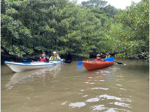 [Iriomote Island/1 day] Nakama River mangrove canoe & Yubu Island sightseeing Experience tour that adults and children can enjoy togetherの画像