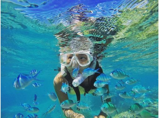 [Okinawa, Kerama] Comes with a visit to Kuefu Island! Enjoy snorkeling in the ocean with the Kerama Blue and coral reefs!の画像