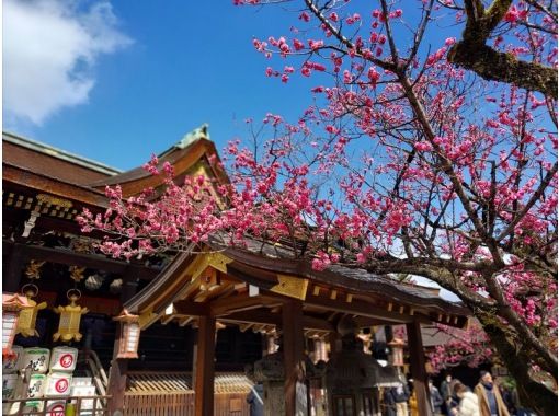 【京都】E-bikeレンタサイクル 高性能自転車で京都をストレスフリーで観光しよう！（Rental bicycle　in KYOTO）の画像