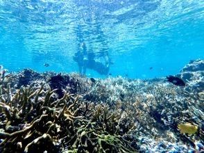 【沖縄・久米島】サンゴの森探検&シュノーケリング　陸からも水中からもサンゴを超至近距離で観察できる新感覚の探検ツアー　［現地集合プラン］