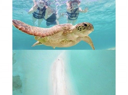 【宮古島・ドローン撮影付き】幻のユニの浜＆ウミガメと泳ぐ感動体験✨ 遭遇率100%継続中！1歳から参加OK！の画像