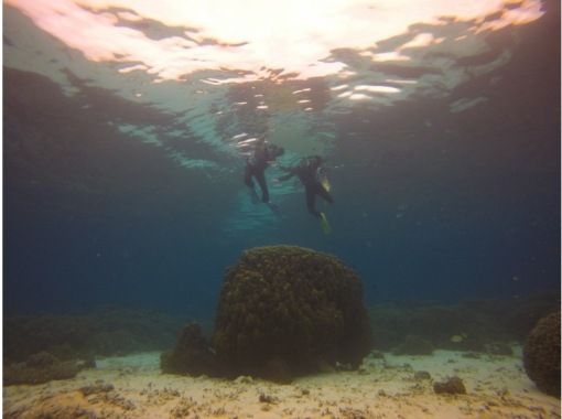 [Departing from Motobu, Okinawa] Autumn/Winter only! Boat snorkeling and tropical fish watching around Sesoko Island near the Churaumi Aquarium, including winter wetsuitsの画像