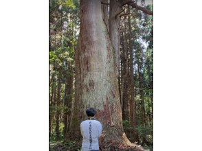 白神山地の麓 山岳信仰の神秘の地を歩く ～祈りと癒しの3時間参拝体験～