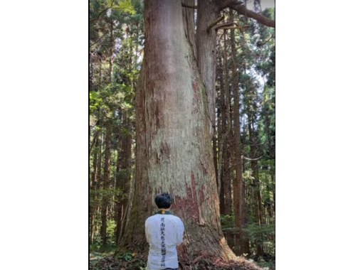 【秋田・能代】山歩き仏教体験　山岳信仰を肌で感じる祈りの山を往復2時間かけてゆっくり参拝の画像