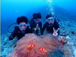 【沖縄・石垣島】写真データプレゼント！半日午前体験ダイビング・10歳以上からご参加可能！初めての方も！