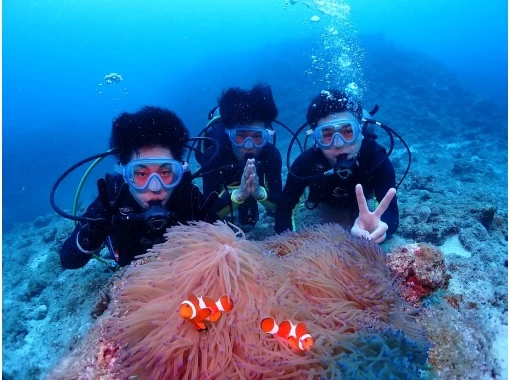 【沖縄・石垣島】写真データプレゼント！半日午前体験ダイビング・10歳以上からご参加可能！初めての方も！の画像